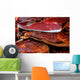Pieces Smoked Pork Bacon-3 Wall Decal