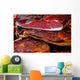 Pieces Smoked Pork Bacon-3 Wall Decal