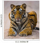 Portrait Bengal Tiger India Wall Decal