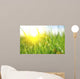 Grass Fresh Green Spring Wall Decal