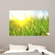 Grass Fresh Green Spring Wall Decal