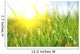 Grass Fresh Green Spring Wall Decal