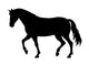 Horse Wall Decal Design 2