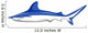 Shark Wall Decal
