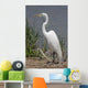 Great Egret Ardea Alba Wall Decal
