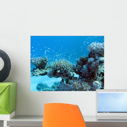 Coral Reef with Great Wall Decal