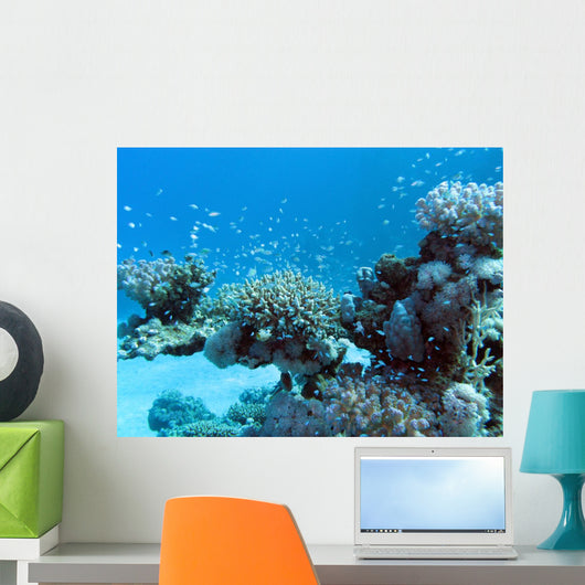 Coral Reef with Great Wall Decal