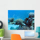 Coral Reef with Great Wall Decal