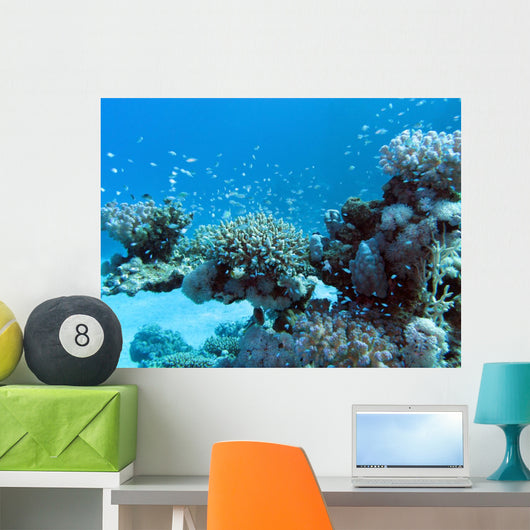 Coral Reef with Great Wall Decal