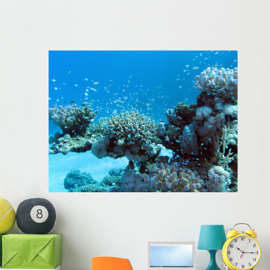 Coral Reef with Great Wall Decal
