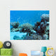 Coral Reef with Great Wall Decal