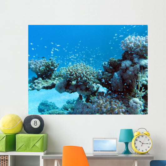 Coral Reef with Great Wall Decal