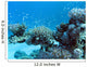 Coral Reef with Great Wall Decal