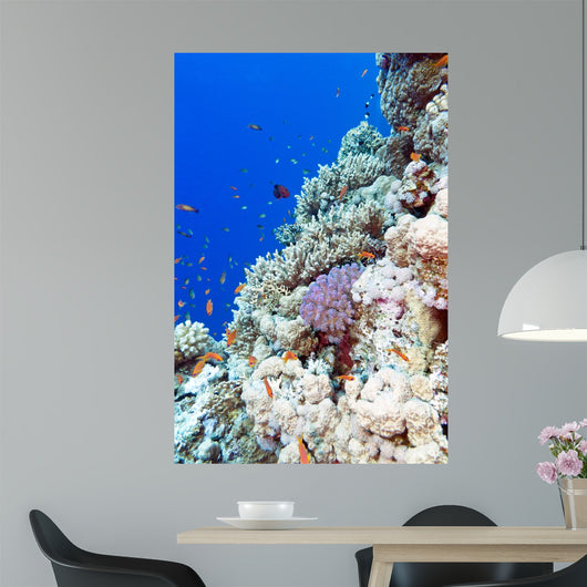 Colorful Coral Reef Tropical Wall Decal