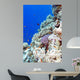 Colorful Coral Reef Tropical Wall Decal