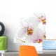 White Orchid Wall Decal