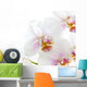 White Orchid Wall Decal