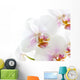 White Orchid Wall Decal