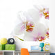 White Orchid Wall Decal