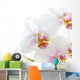 White Orchid Wall Decal