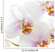 White Orchid Wall Decal