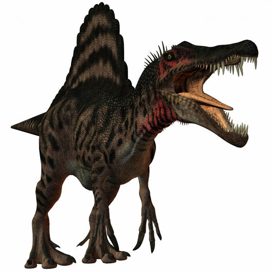 Spinosaurus Dinosaur Wall Decal