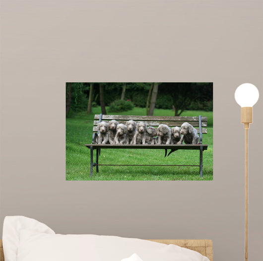 Weimaraner Wall Decal