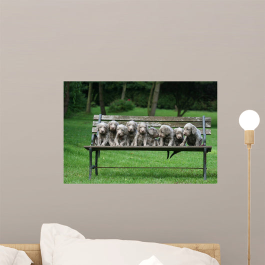 Weimaraner Wall Decal