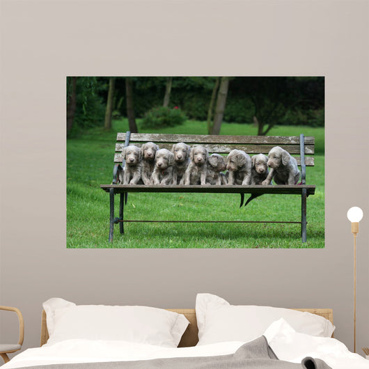 Weimaraner Wall Decal