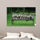 Weimaraner Wall Decal
