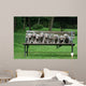 Weimaraner Wall Decal