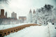 Central Park Winter Wall Decal
