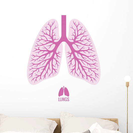 Human Lungs with Bronchial Wall Decal