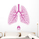 Human Lungs with Bronchial Wall Decal