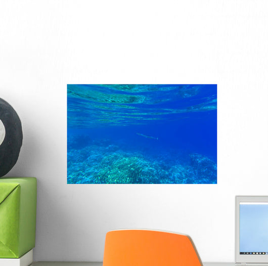 Underwater Wall Decal