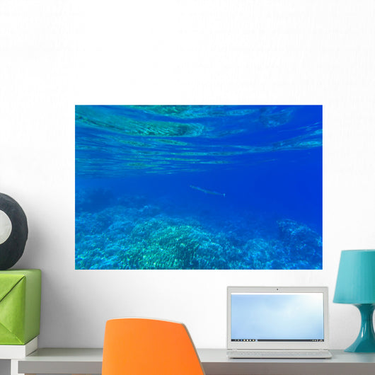 Underwater Wall Decal