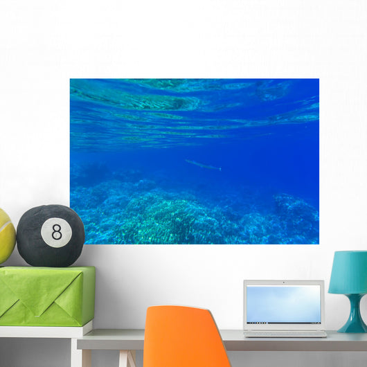 Underwater Wall Decal