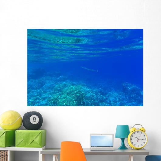 Underwater Wall Decal