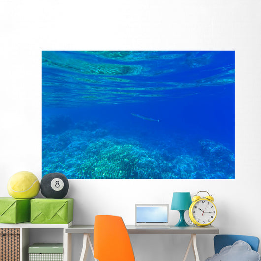 Underwater Wall Decal