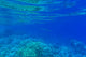 Underwater Wall Decal