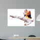 Kung Fu Wall Decal