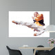Kung Fu Wall Decal