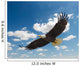American Bald Eagle Flight Wall Decal