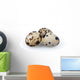 Quail Eggs Wall Decal