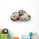 Quail Eggs Wall Decal
