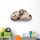 Quail Eggs Wall Decal