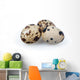 Quail Eggs Wall Decal