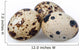 Quail Eggs Wall Decal