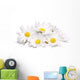 White Chamomile Flowers Wall Decal