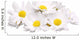 White Chamomile Flowers Wall Decal